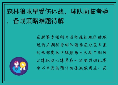 森林狼球星受伤休战，球队面临考验，备战策略难题待解