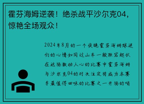 霍芬海姆逆袭！绝杀战平沙尔克04，惊艳全场观众！